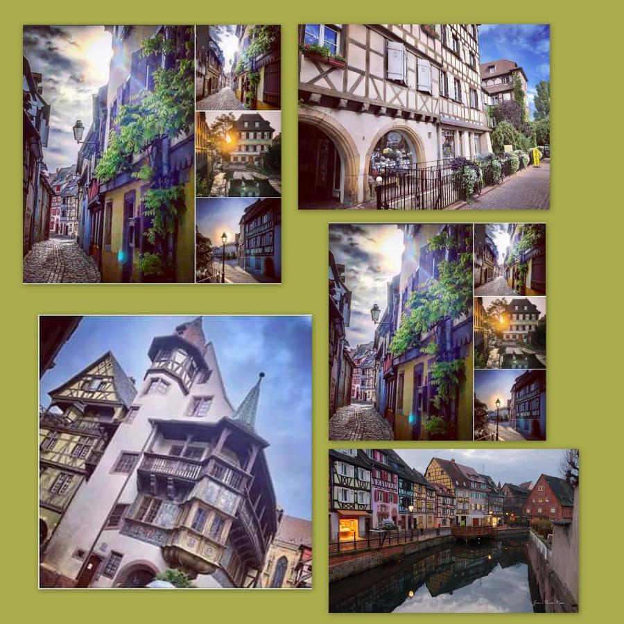 N¨°1 Schongauer Gite De Charme Centre Touristique Колмар Екстериор снимка