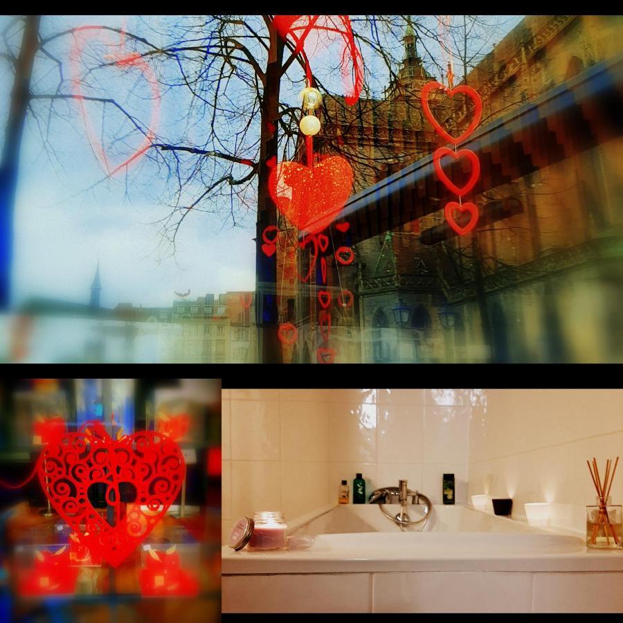 N¨°1 Schongauer Gite De Charme Centre Touristique Колмар Екстериор снимка
